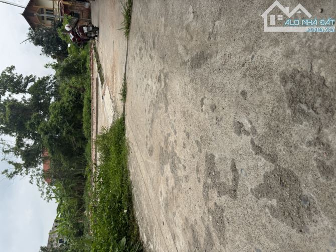 CẦN BÁN GẤP 💥🚀 LÔ ĐẤT ĐẸP GIÁP HỒNG HẢI-VĂN LÂM -HƯNG YÊN-ĐƯỜNG ÔTÔ-124M2-1ty8xx - 2
