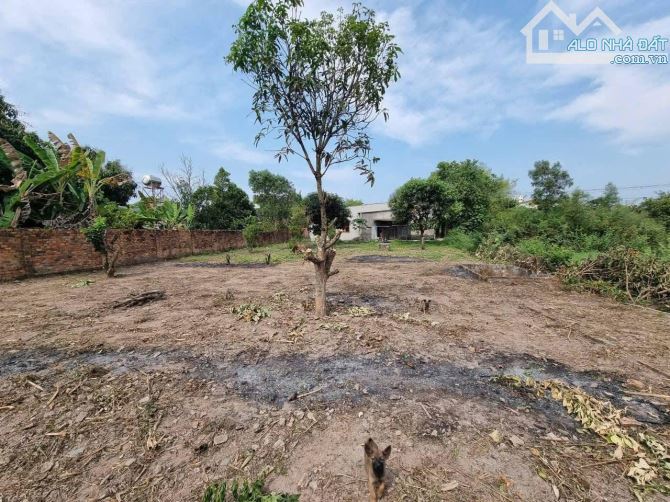 BÁN LÔ BIỆT THỰ NGAY TRUNG TÂM XÃ LA NGÀ 337M2(8MX42M) CÓ SẴN 150M2 THỔ CƯ  CHỈ 1TỶ7 - 2
