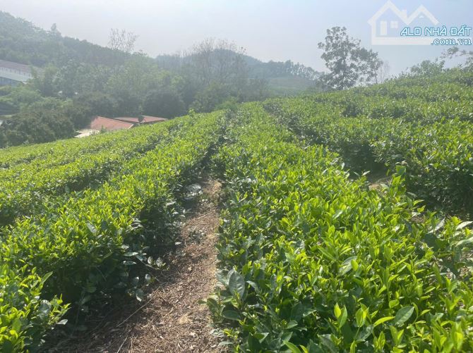 Bán 1440m2 đất tại thôn 2, Ba Trại, Ba Vì, Hà Nội.  Giáp dự án FLC View hồ - 2