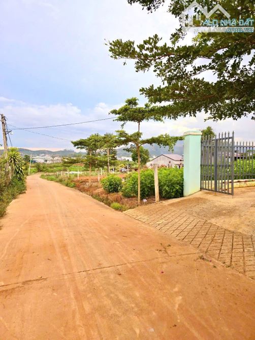 Bán gấp 10x30m Đất tại Đức Trọng , Lâm Đồng - 2