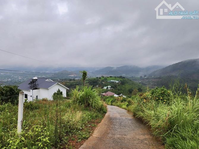 ✨ View Săn Mây Triệu Đô 300M2 (Ngang 12M x 25M) có 130M2 ONT, 2 MẶT TIỀN TRƯỚC SAU - 739TR - 2
