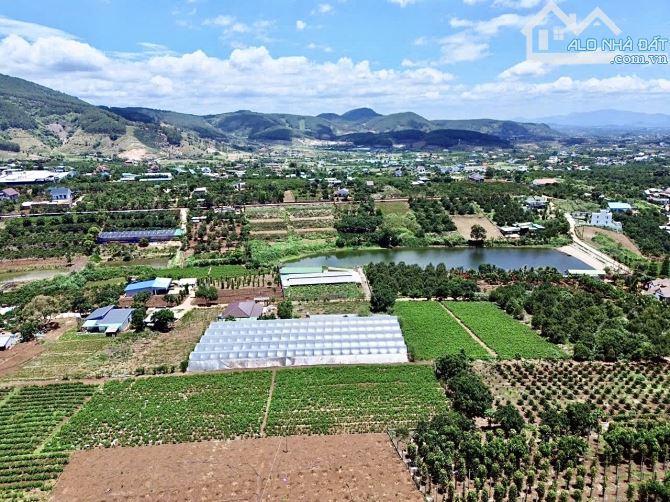 ✨ 7x48M (100M2 ONT) View đồi thông thoáng đãng. Ngay trung tâm gần Trường học & UB - 819TR - 2