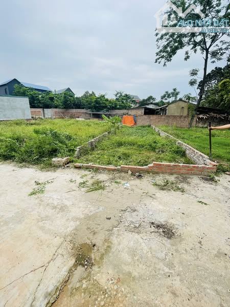 60.8m2 đất thổ cư Lập Trí-Minh Trí gần trường,chợ,khu CN sạch giá tốt đầu tư vị trí đẹp - 3