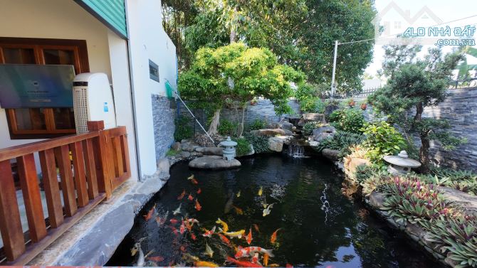 Bán nhà sân vườn 628.8m2 Thôn Xuân Sơn Xã Vĩnh Trung. - 3