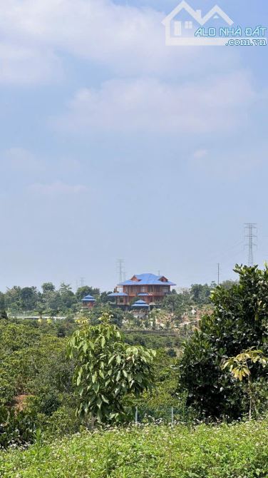 Cần ra nhanh đất thổ cư tại Lộc An, view đẹp, đường nhựa 6m, giá siêu tốt chỉ 760 triệu - 3