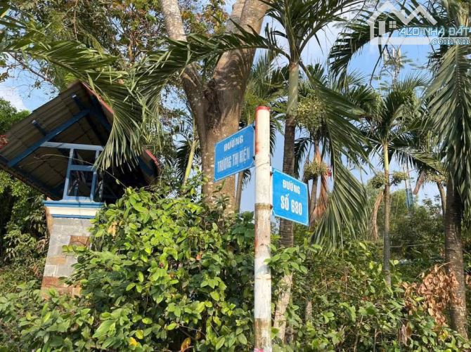 cần bán lô đất mặt tiền đường Trương Thị Kiện, xã Thái Mỹ, Củ Chi, 363,3 m² - 3