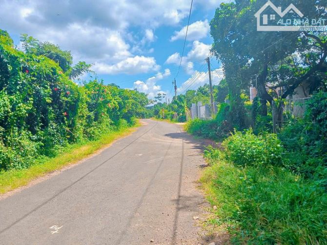VƯỜN SẦU RIÊNG HƠN 1 MẪU TRUNG TÂM XÃ, PHỦ HỒNG ĐẤT Ở TOÀN BỘ, MẶT TIỀN ĐƯỜNG NHỰA LỚN - 3