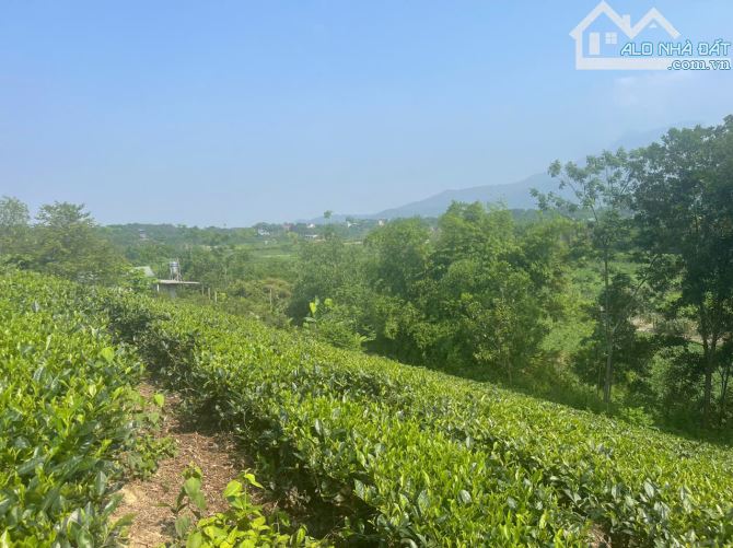 Bán 1440m2 đất tại thôn 2, Ba Trại, Ba Vì, Hà Nội.  Giáp dự án FLC View hồ - 3