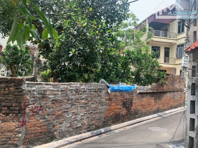 Thôn Đoài Xã Nam Hồng Đông Anh Lô Góc Ngay Đầu Làng Ô Tô 7 chỗ vào thẳng đât chỉ 50tr/m - 3