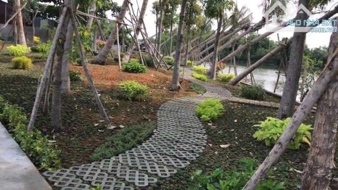 Cần Bán đất nhà phố view sông xã Phong Phú, Huyện Bình Chánh , sổ hồng, thổ cư giá rẻ. - 3