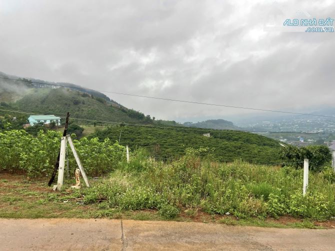 ✨ View Săn Mây Triệu Đô 300M2 (Ngang 12M x 25M) có 130M2 ONT, 2 MẶT TIỀN TRƯỚC SAU - 739TR - 3