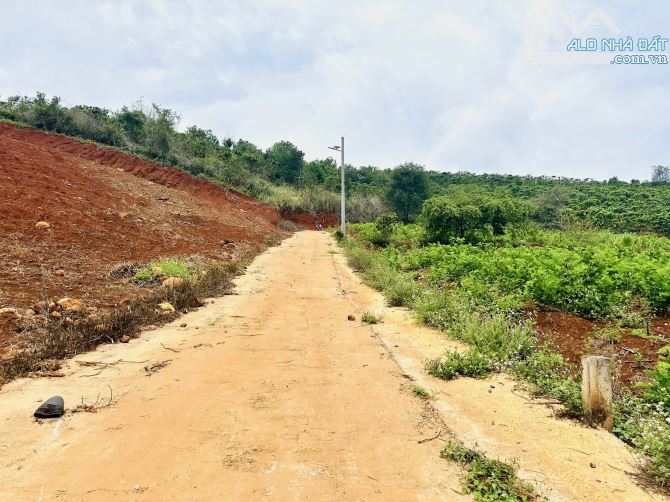 ✨ View Thị Trấn Săn Mây Cực Đỉnh, 449M2 (12x40M), có 86M2 THỔ CƯ, đường Bê Tông 6M - 719TR - 3