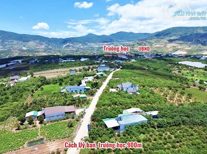 ✨ 7x48M (100M2 ONT) View đồi thông thoáng đãng. Ngay trung tâm gần Trường học & UB - 819TR - 3