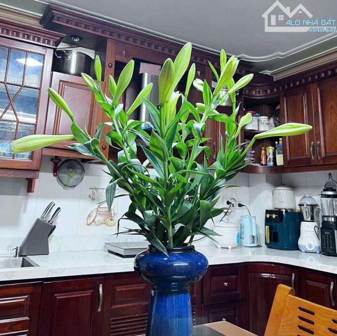 MẶT PHỐ NAM DƯ - KINH DOANH - Ô TÔ - 60M2 - 5 TẦNG - SỔ ĐỎ CHÍNH CHỦ - 13.2 TỶ - 4