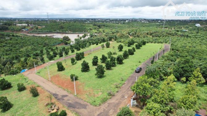 Cần ra nhanh đất thổ cư tại Lộc An, view đẹp, đường nhựa 6m, giá siêu tốt chỉ 760 triệu - 4
