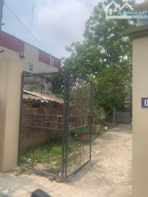Thôn Đoài Xã Nam Hồng Đông Anh Lô Góc Ngay Đầu Làng Ô Tô 7 chỗ vào thẳng đât chỉ 50tr/m - 4