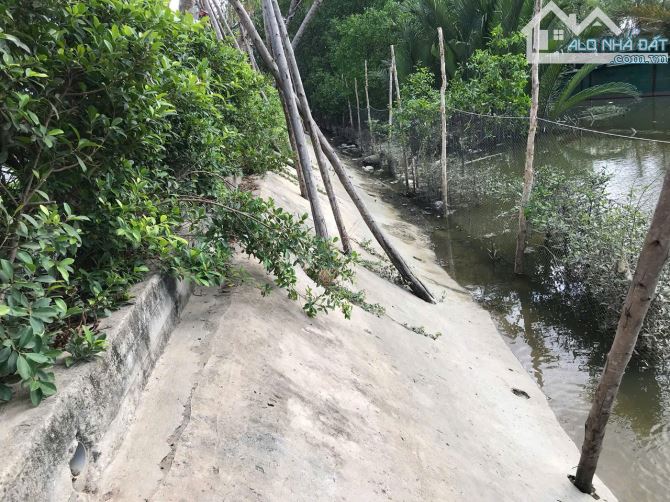 Cần Bán đất nhà phố view sông xã Phong Phú, Huyện Bình Chánh , sổ hồng, thổ cư giá rẻ. - 4