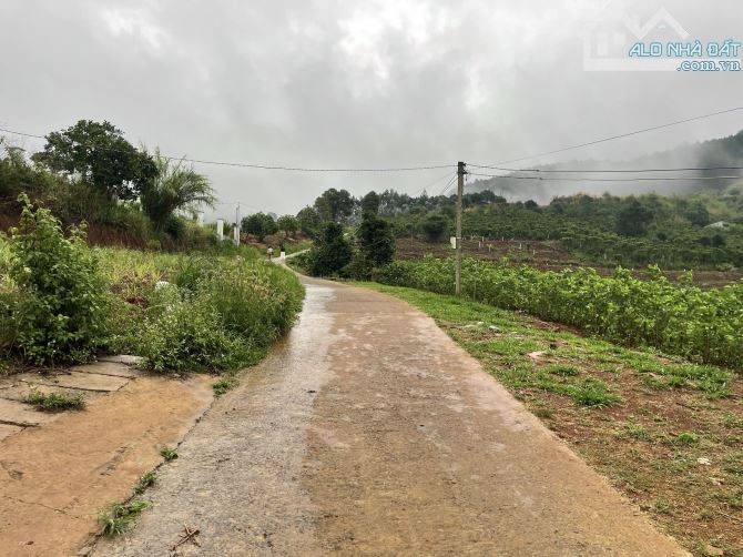 ✨ View Săn Mây Triệu Đô 300M2 (Ngang 12M x 25M) có 130M2 ONT, 2 MẶT TIỀN TRƯỚC SAU - 739TR - 4