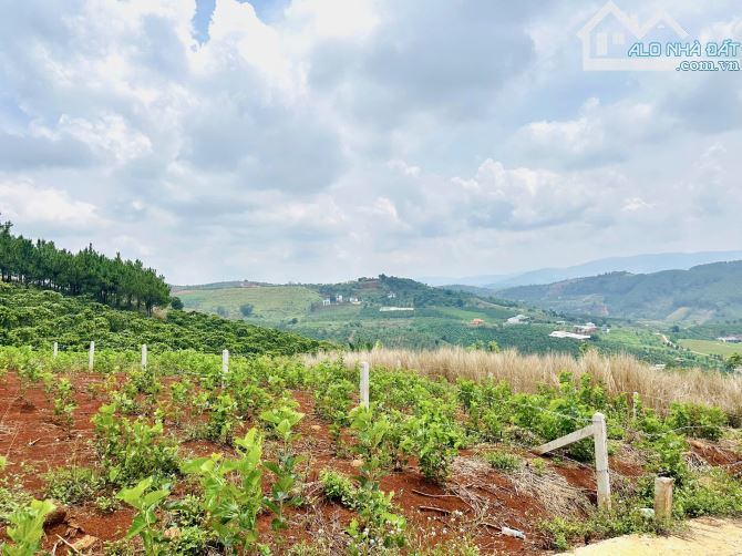 ✨ View Thị Trấn Săn Mây Cực Đỉnh, 449M2 (12x40M), có 86M2 THỔ CƯ, đường Bê Tông 6M - 719TR - 4