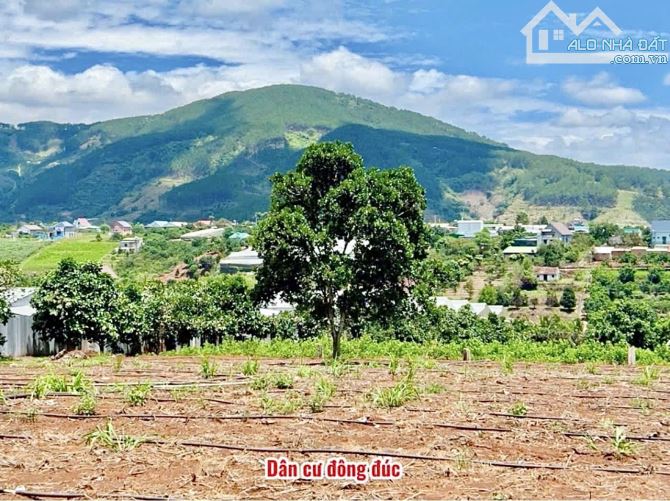 ✨ 7x48M (100M2 ONT) View đồi thông thoáng đãng. Ngay trung tâm gần Trường học & UB - 819TR - 4