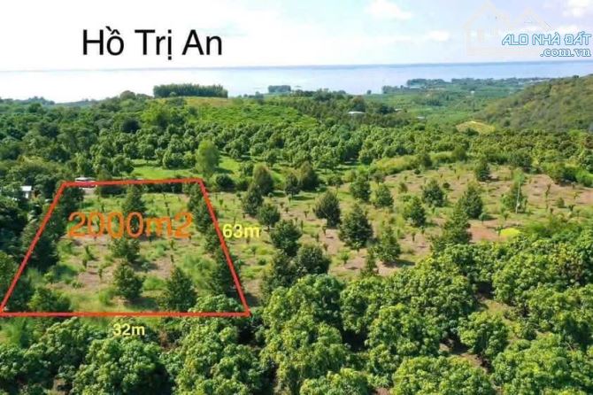 BÁN VƯỜN SẦU RIÊNG NGAY KHU DÂN CƯ 2002m2 (31mx65m) CÁCH SAIGON 80KM GẦN KHU DU LỊCH 1TỶ6 - 5
