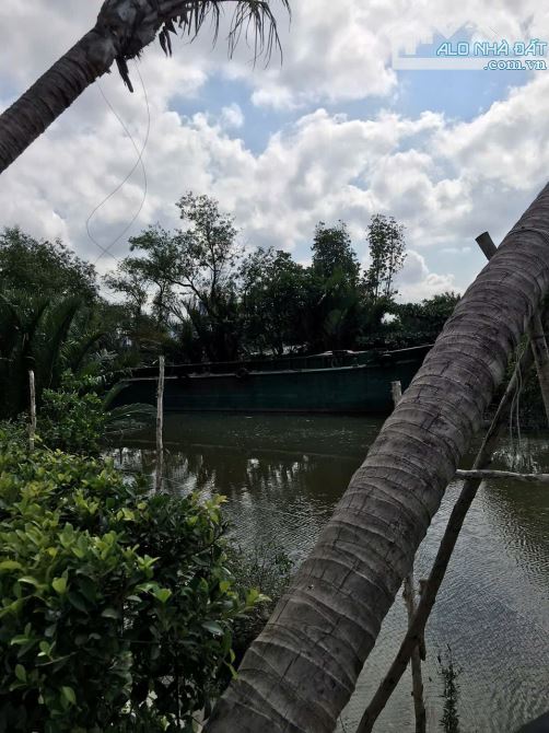 Cần Bán đất nhà phố view sông xã Phong Phú, Huyện Bình Chánh , sổ hồng, thổ cư giá rẻ. - 5