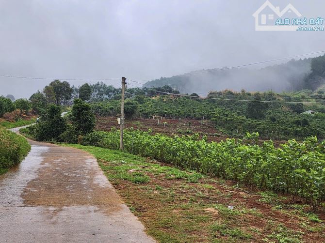 ✨ View Săn Mây Triệu Đô 300M2 (Ngang 12M x 25M) có 130M2 ONT, 2 MẶT TIỀN TRƯỚC SAU - 739TR - 5