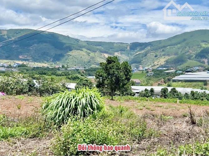 ✨ 7x48M (100M2 ONT) View đồi thông thoáng đãng. Ngay trung tâm gần Trường học & UB - 819TR - 5