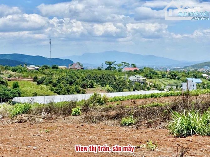 ✨ 7x48M (100M2 ONT) View đồi thông thoáng đãng. Ngay trung tâm gần Trường học & UB - 819TR - 6