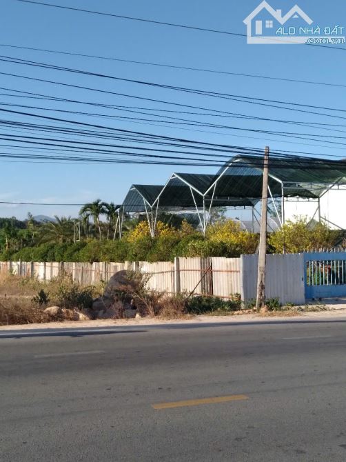 Bán đất mặt tiền Nguyễn Chí Thanh, La Gi, Bình Thuân - 7