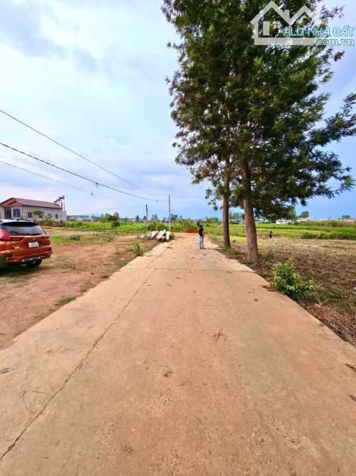 Bán gấp 10x30m Đất tại Đức Trọng , Lâm Đồng - 7