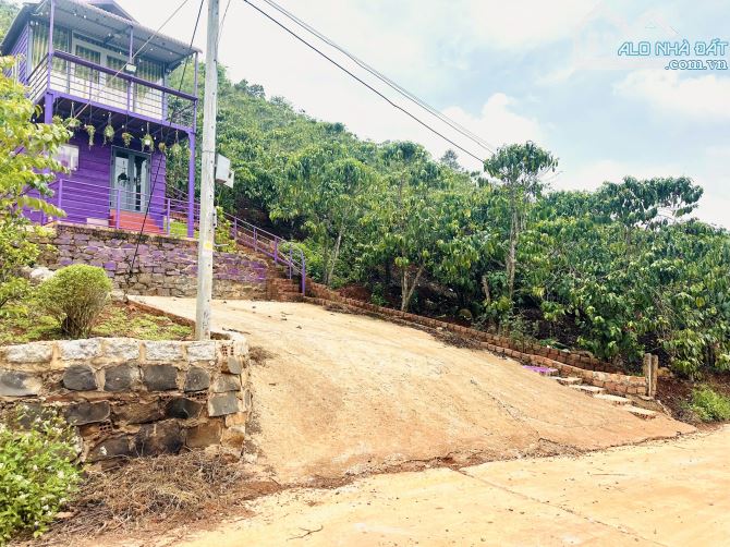 ✨ View Thị Trấn Săn Mây Cực Đỉnh, 449M2 (12x40M), có 86M2 THỔ CƯ, đường Bê Tông 6M - 719TR - 7