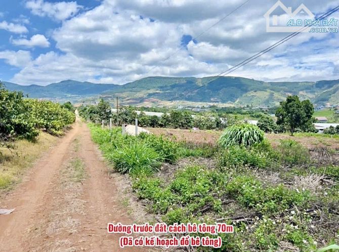 ✨ 7x48M (100M2 ONT) View đồi thông thoáng đãng. Ngay trung tâm gần Trường học & UB - 819TR - 7