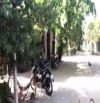BÁN ĐẤT PHƯỜNG CAM NGHĨA-CAM RANH KHÁNH HÒA