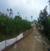 BÁN ĐẤT LƯƠNG TÀI, BẮC NINH. 100M2 * MT 6,8M * 780 TRIỆU. FULL THỔ CƯ, ĐƯỜNG Ô TÔ.