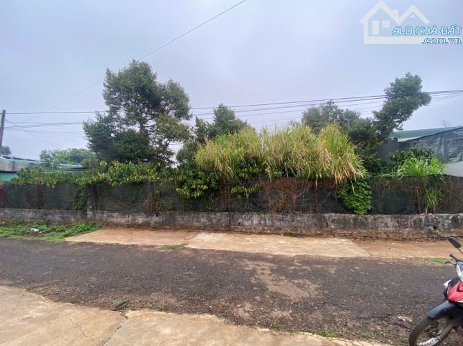 🏠🏠 lô đất hẻm Ký Con - p. Yên Thế - Gia Lai.