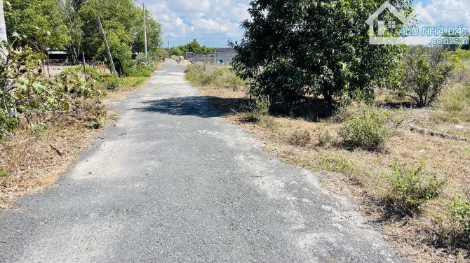 BÁN ĐẤT PHƯỚC HỘI ĐẤT ĐỎ BÀ RỊA VŨNG TÀU