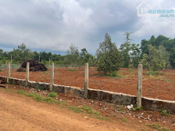 🅿️❇️LỐC 8 LÔ COUR ĐĂNG, KROA A, NHÁNH UỶ BAN XÃ, HẺM QUỐC LỘ 14, 495 TRIỆU, 5mx28m❇️