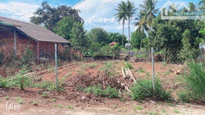 CHỦ CẦN BÁN NHANH LÔ ĐẤT ĐẸP GẦN TRƯỜNG NGUYỄN TRƯỜNG TỘ - Loctran
