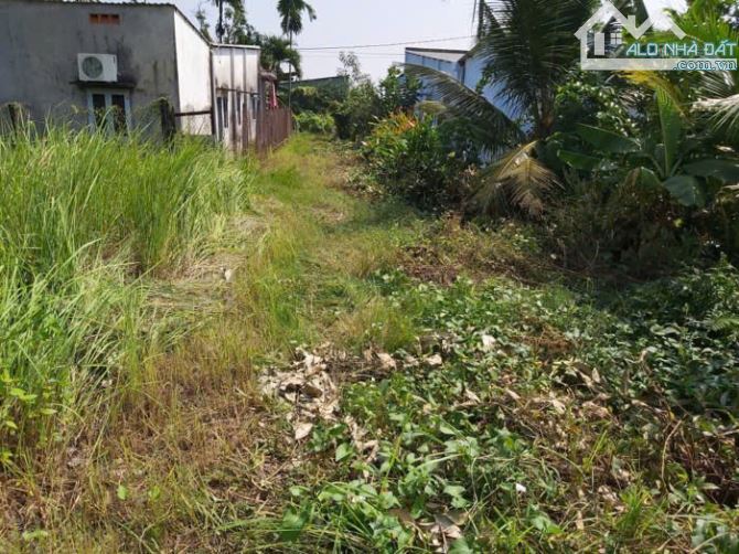 🔥Đất Nông Nghiệp 2 MT ,THẠNH XUÂN 31,Phường THẠNH XUÂN,Quận 12. 5,4tỷ.TL