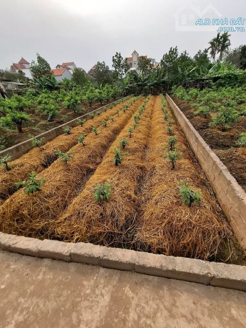 Lô đất Nội Thôn, Vân Tảo 35 triệu/m ô tô vào đất