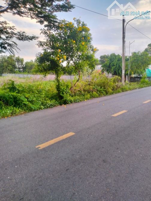EM LÊN 2 LÔ THỊ TRẤN PHƯỚC HẢI  BRVT  DT LÔ 803 m  10 x 82 m đã có sẵn 200 m thổ cư  Lô th - 1