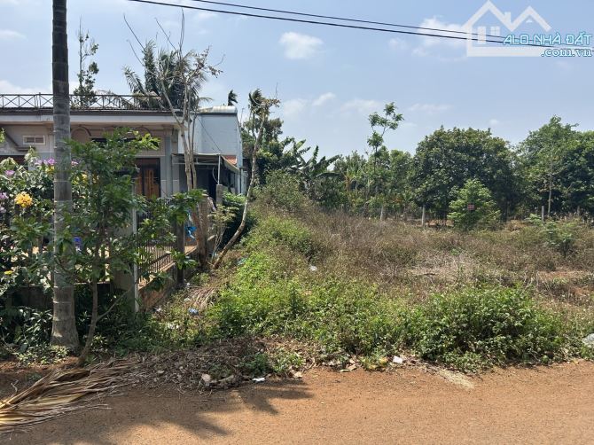 🅿️❇️ĐẤT EATU, ĐƯỜNG B5, EANAO B, HẺM NGUYỄN XUÂN NGUYÊN, 1,050 tỷ, 5mx20m❇️ - 1