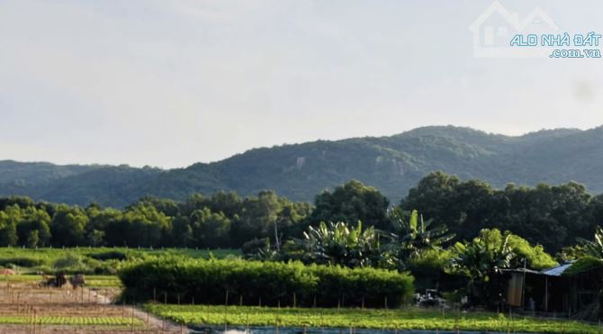 LONG MỸ VIEW NÚI CỰC ĐẸP- GẦN BIỂN PHƯỚC HẢI.dt:4873m2 - Ngang 38m x 126m-400 thổ cư - 1