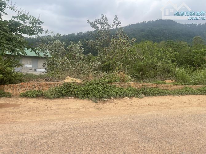 Cần bán 1600m2 Đất nghỉ dưỡng khu du lịch hồ đồng đò minh trí sóc sơn hà nội - 1