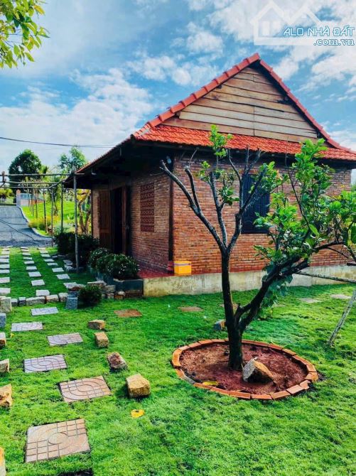 NHÀ VƯỜN GẦN BIỂN, GẦN CAO TỐC,  SẴN THỔ CƯ, VƯỜN CÂY ĂN TRÁI - AO SEN TUYỆT ĐẸP - 1