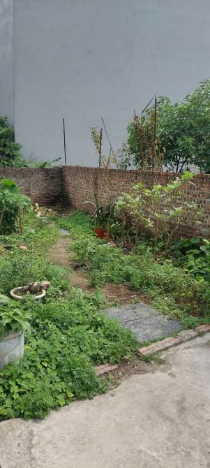 BÁN ĐẤT BÁT KHỐI - ĐÔNG DƯ . 40M NHỈNH 4 TỶ  ( Có thương lượng) - 1