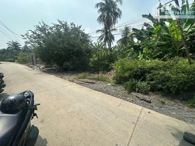 171m2 thổ + 138m2 vườn 1,1 tỷ mặt tiền 832 củ bình trinh đông tân trụ giá rẻ - 1