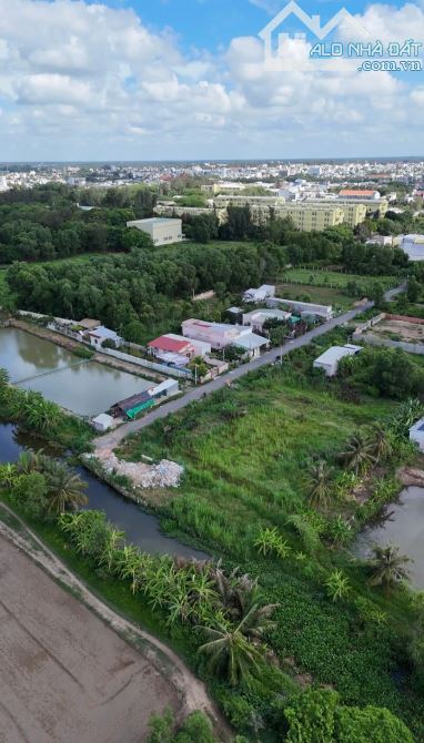 🌳 Cần bán đất nằm cuối đường Cầu Vòng ( hẻm Cây Xăng Tân Tân) một mặt giáp đường nhựa, mộ - 1