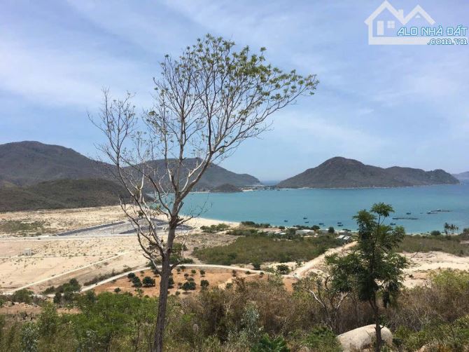 bán 10ha view biển quy hoạch đất ở và tmdv Ninh Vân Ninh Hòa - 1